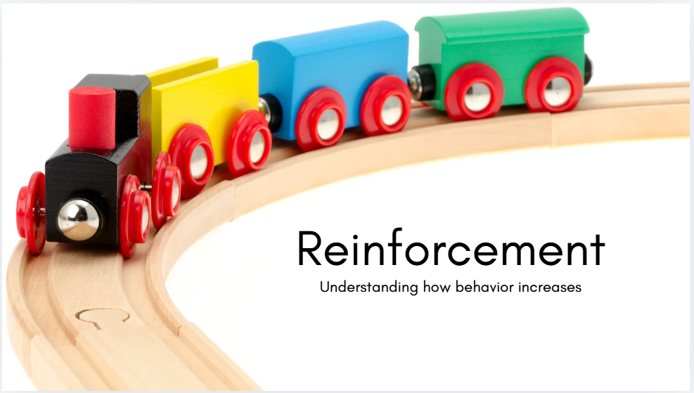 Reinforcement